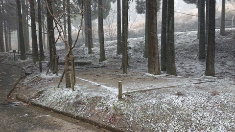 78-63(33-29)北山キャンプ場60S