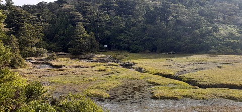 260-241(49-46)宮之浦岳淀川小屋501_170721