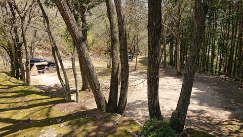 95-80(50-44)小鳥の森キャンプ場476