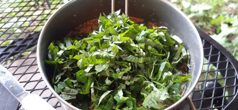 226-209(15-14)脊振山キャンプ場826_165204