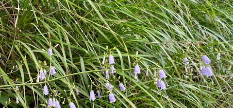 227-210(16-15)スノーピーク奥日田902_092900