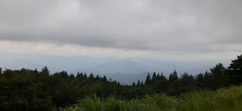 223-206(12-11)四季見原すこやかの森②815_122847