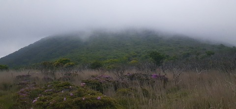 266-247(3-3)天空の杜602_084526