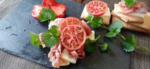 151-136(50-50)423湯の浦総合キャンプ場_160123