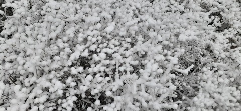 251-232(40-37)法華院温泉山荘2泊目224_080232