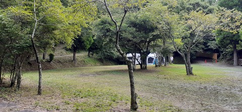 168-153(10-10)阿蘇ファンタジーの森806_122012