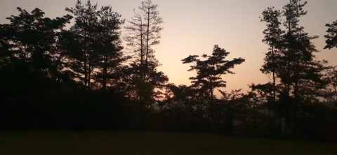 268-248(5-4)岳切渓谷キャンプ場616_052917