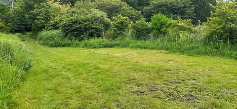 167-152(9-9)久住星群れキャンプ場723_123119