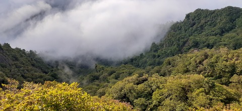 224-207(13-12)祖母山9合目山小屋817_060843