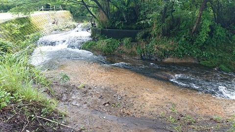 111-96(10-10)くじゅうエイドST210