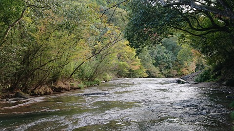 122-107(21-21)阿蘇レインボーバレー814