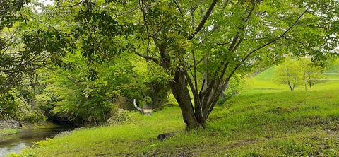 159-144(1-1)遊牧民521_115736