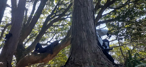 251-232(40-37)大坂山障子ヶ岳218_123525