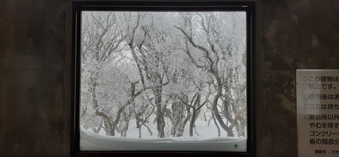 187-171(29-28)坊がツル1230_090158