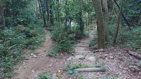 120-105(19-19)小文字山テン泊568S