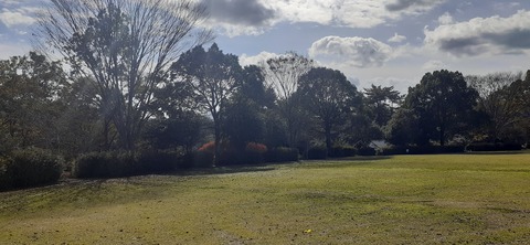 237-220(26-25)るるパーク1111_122206