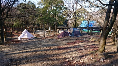 29-22昭和の森猫石サイト1084S