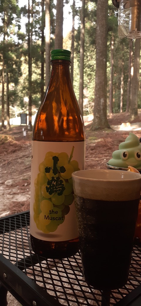 199-183(41-40)山中キャンプ場311_133745