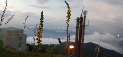 226-209(15-14)脊振山キャンプ場826_190704