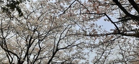 254-235(43-40)長崎鼻リゾート②330_122414