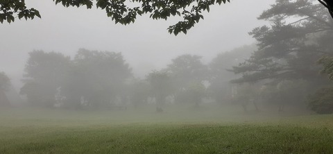 164-149(6-6)長野山緑地公園703_061750