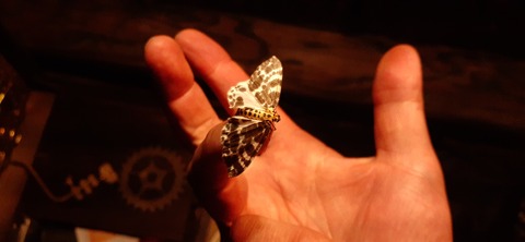 260-241(49-46)宮之浦岳淀川小屋501_204410