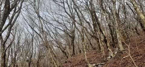 250-231(39-36)RECAMP志高湖 由布岳211_090006