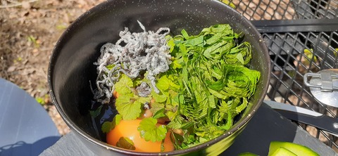 153-138(52-52)マゼノ 甲の瀬キャンプ村430_141211