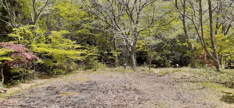 153-138(52-52)マゼノ 甲の瀬キャンプ村430_113851