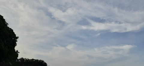 162-147(4-4)下梶寄キャンプ場612_172653