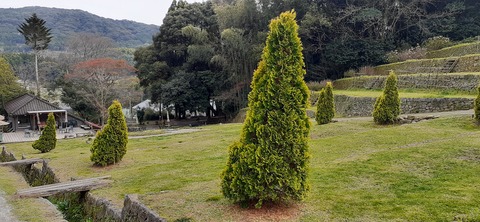 148-133(47-47)橘香園22_162352