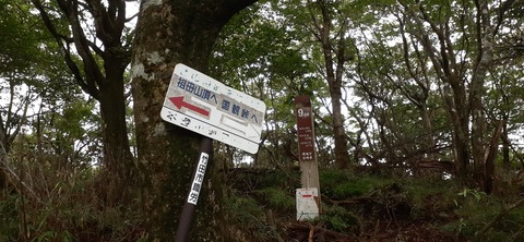 224-207(13-12)祖母山9合目山小屋817_063857