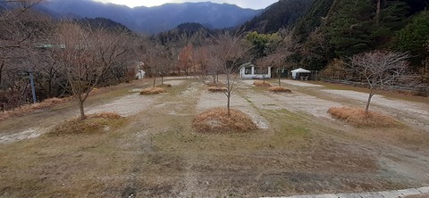 138-123(37-37)sleepy cafe nico22_131332