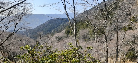 253-234(42-39)障子ヶ岳山頂キャンプ316_135945