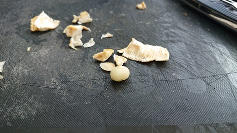 110-95(9-9)高原の里102