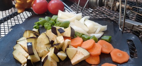 199-183(41-40)山中キャンプ場311_145823