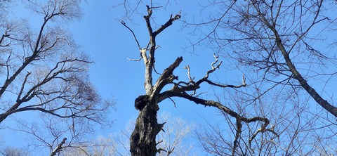 245-227(34-32)法華院温泉山荘104_131944