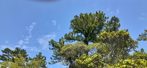 256-237(45-42)指宿レイクグリーン427_142710