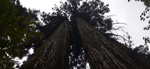 227-210(16-15)スノーピーク奥日田902_131911