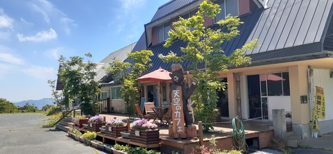 164-149(6-6)長野山緑地公園702_111941