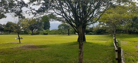 229-212(18-17)竹原牧場916_123249