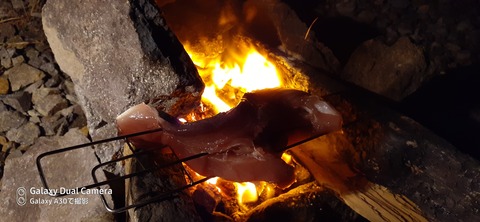 131-116(30-30)大島津和瀬キャンプ場74650