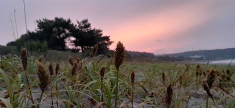 161-146(3-3)来浦キャンプ場611_191554