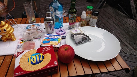 118-103(17-17)グランピングKAWASAKI２98S