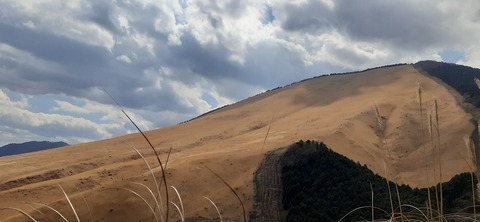 251-232(40-37)伽藍岳ゲリラキャン303_124108