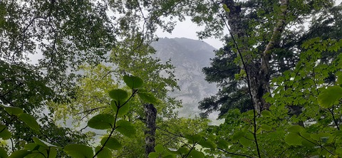 272-252(9-8) 上高地穂高岳814_082736