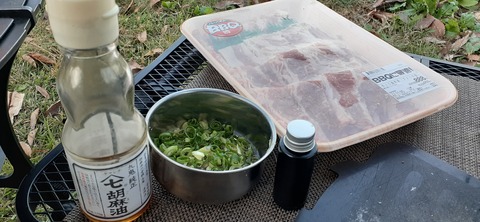 181-165(23-22)仲山城跡キャンプ場1104_170954