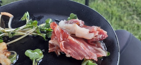 220-203(9-8)ゴンドーシャロレー722_151605