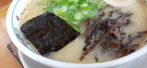 190-174(32-31)たまなフラワーパーク雲龍軒107_121809