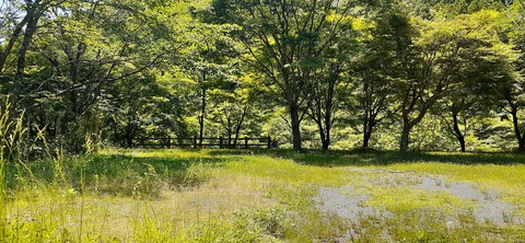 214-198(3-3)オートキャンプ竜門603_124513